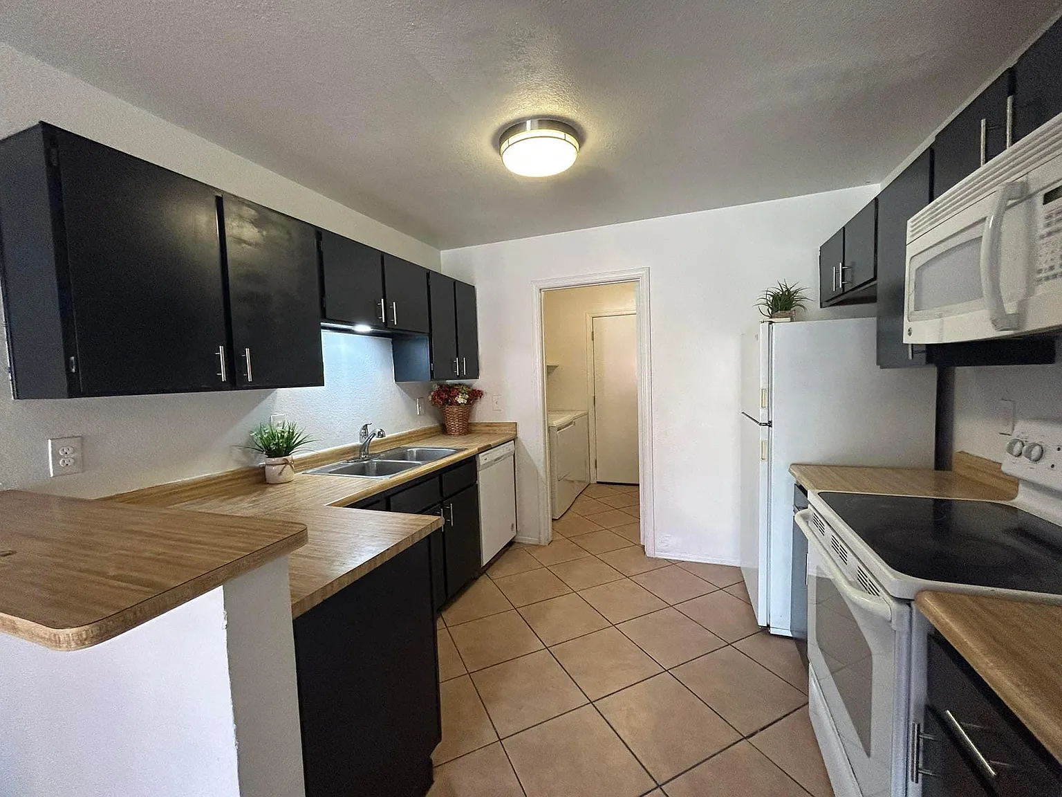 2 bed, 800 sqft, $1,450 — Photo 3