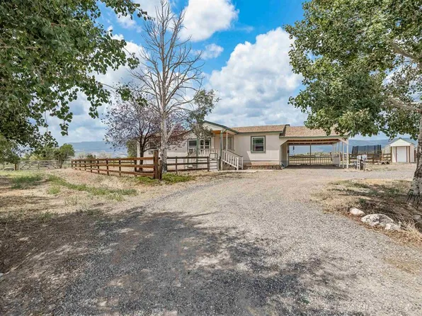 21901 Orchard Grove Road, Eckert, CO 81418