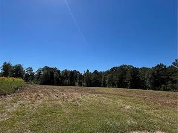 1 Gemstone Dr, Franklinton, LA 70438