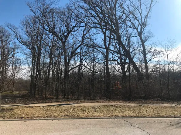 20145 Oakwood Dr, Mokena, IL 60448