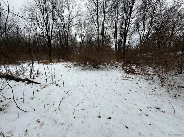 Vacant Ecorse Rd, Romulus, MI 48174