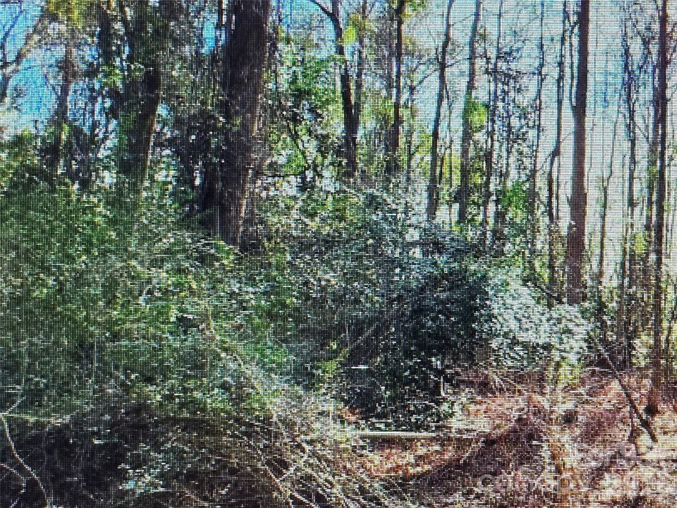 1st image of 0 N Rollins Dr