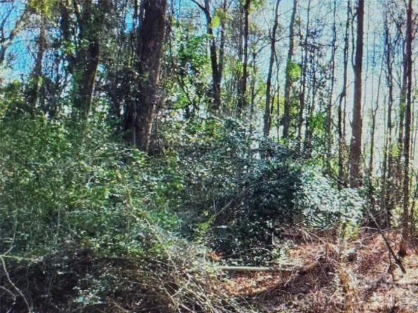 0 N Rollins Dr, Kershaw, SC 29067