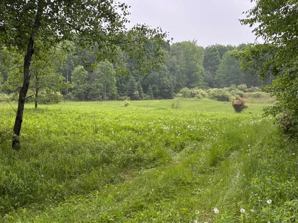 Lot VALLEY RD, Birnamwood, WI 54414