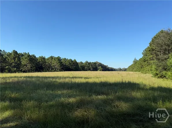0 Sunbury Road #Tract 4, Claxton, GA 30417