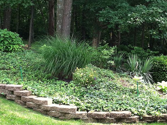 Rear Yard Landscape