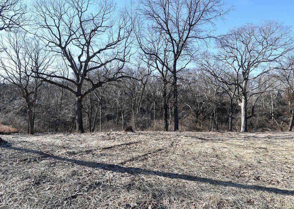 2nd image of 3021 Carol Ln