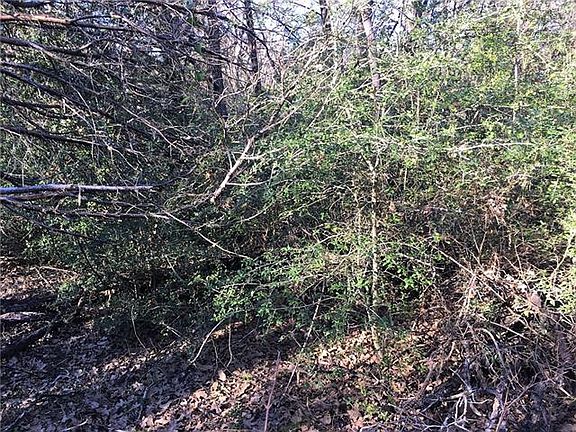 3rd image of 104 Makua Ct