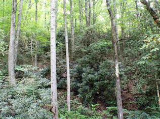 Dockery Branch Rd, Sevierville, TN 37876