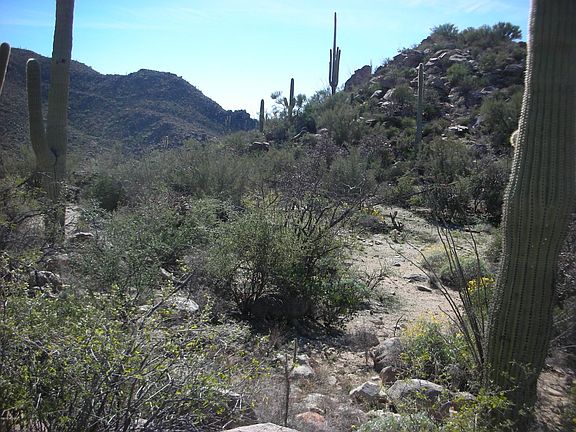 2nd image of 4415 W Cush Canyon Loop #86