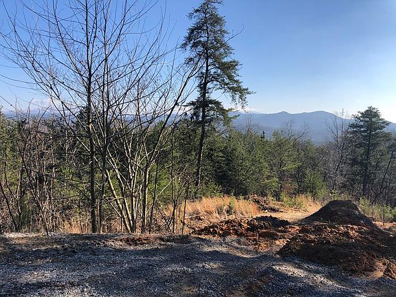 5th image of 171 Rocky Top Dr