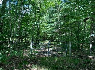 W Adams St, White Cloud, MI 49349