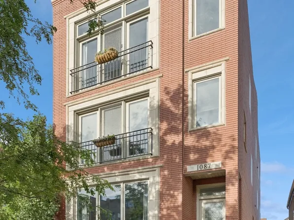1087 N Hermitage Ave APT 1, Chicago, IL 60622