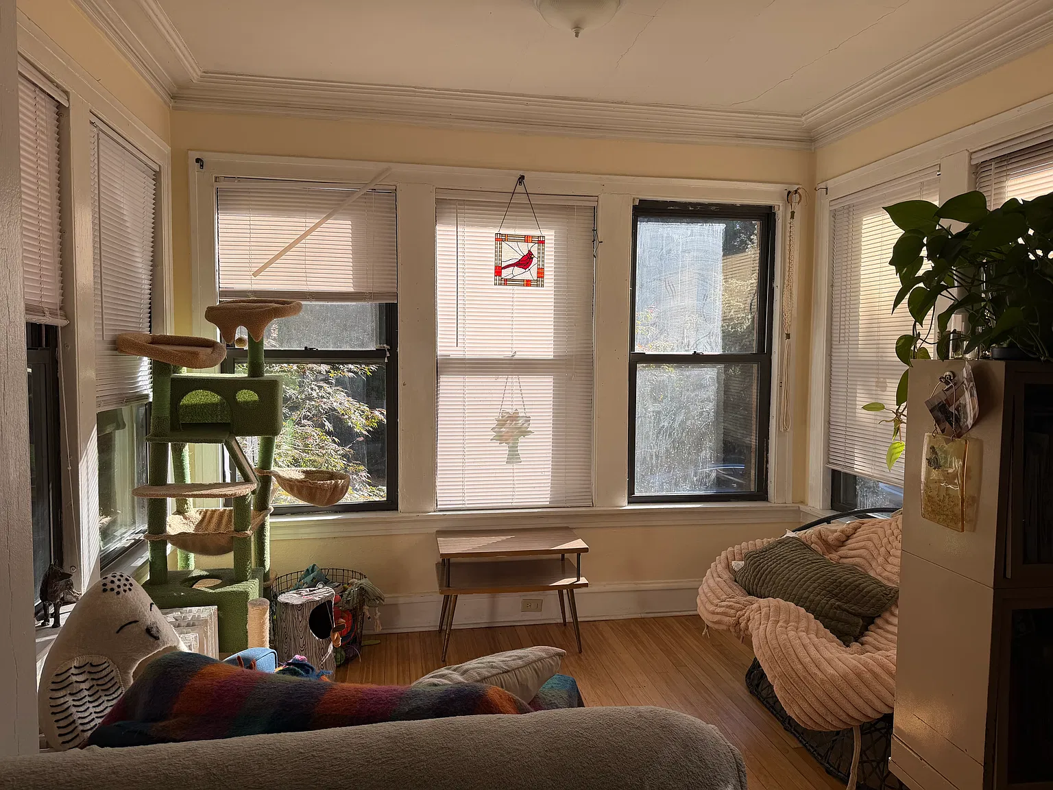 3 bed, 1550 sqft, $2,000 — Photo 3