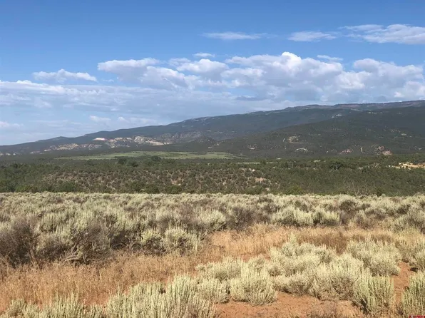 Parcel B Ward Creek Road, Cedaredge, CO 81413