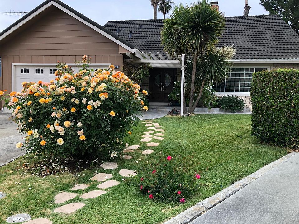 Front yard and entry door