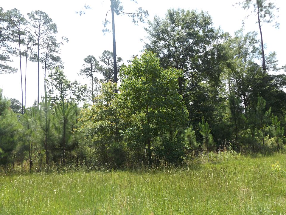 2nd image of 63 Good Hope Road