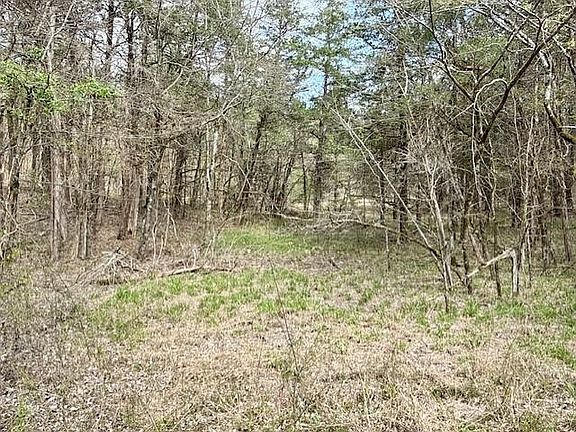 5th image of 0 Milligan Campground Rd