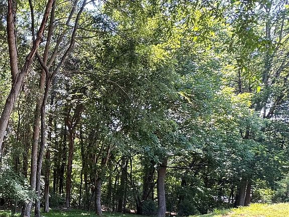 5th image of 0 Maymont Dr #4