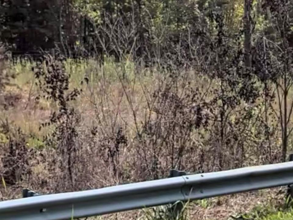 2nd image of 1 Crowders Mountain Rd