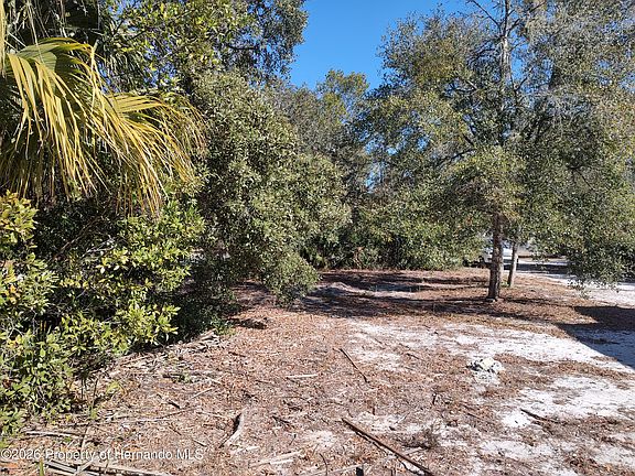 5th image of 3940 E Camp Izzard Pl