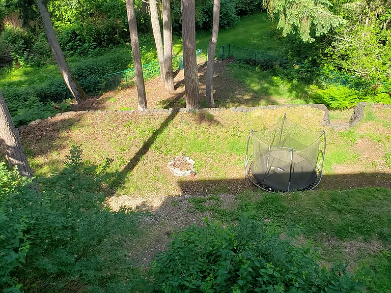 view to backyard from balcony