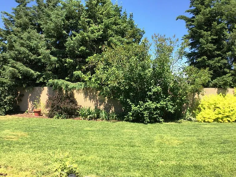 9049 N Torrey Ln — Photo 23