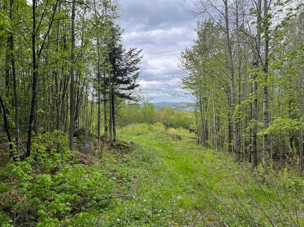 - Bear Mountain Road, Clarksville, NH 03592