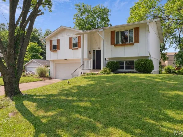 44 Chestnut Ave, Saint Louis, MO 63119