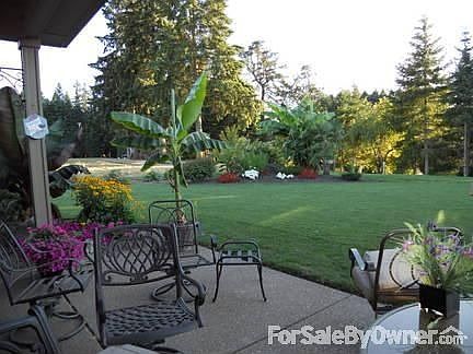 Back Yard
						:
						Summer adorns a tropical theme with palm and banana trees!