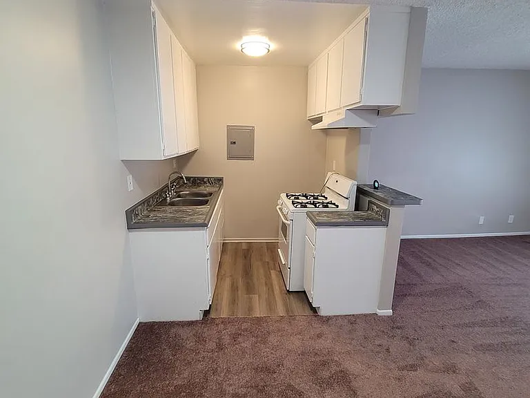 1029 W Magnolia Ave — Photo 4