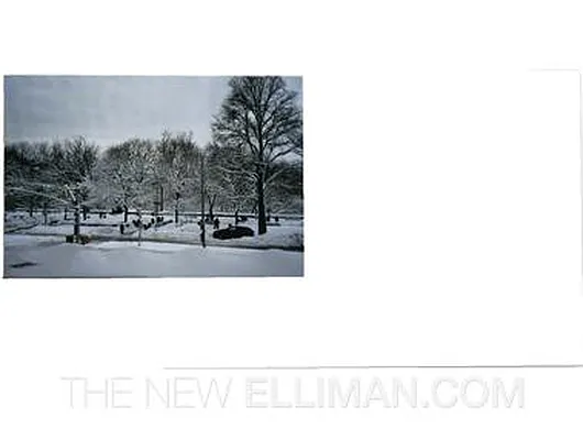 Sold by Douglas Elliman | media 22