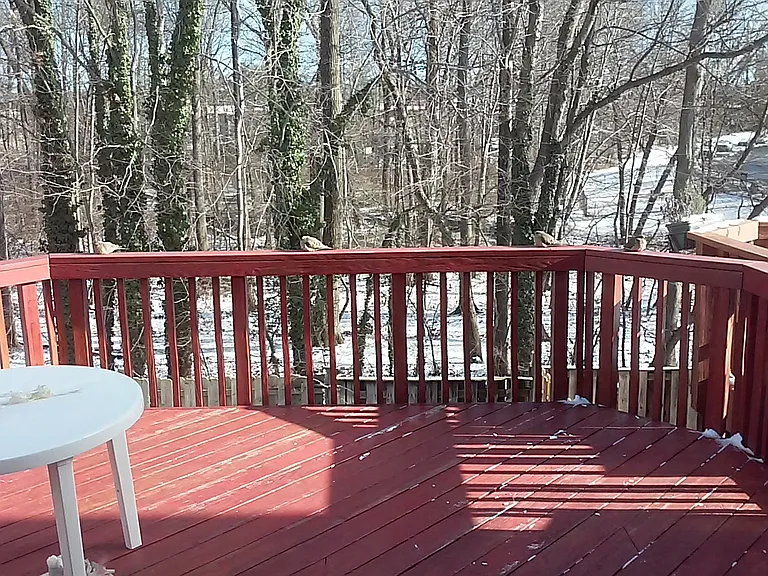 2839 New Providence Ct — Photo 15