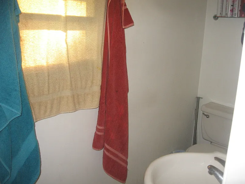 Thumbnail 11