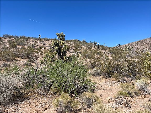 3rd image of 21257 N Oro Drive