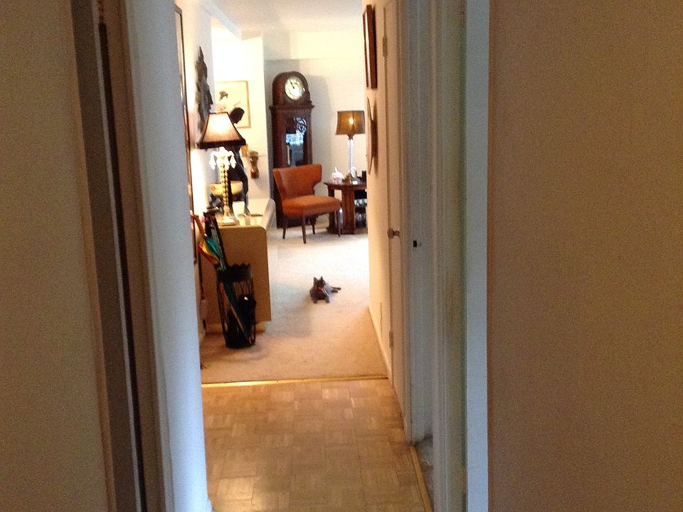 Entry looking into Living Room