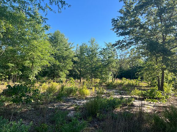 3rd image of 0 Pearl Bonnet Rd