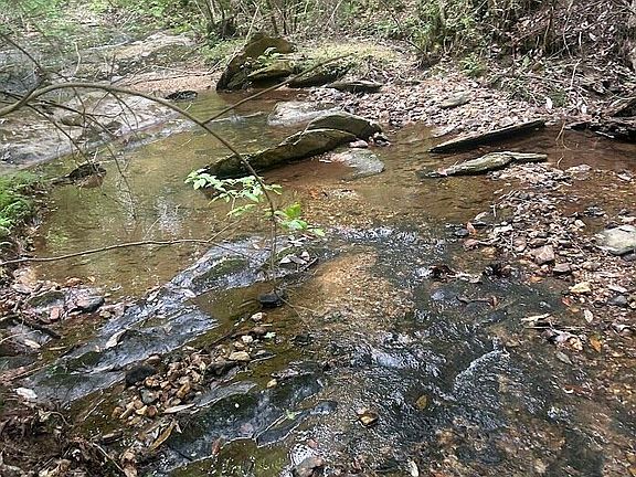 5th image of 236 Riversong Tract 8