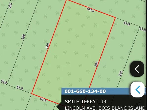 660134 Lincoln Ave, Pointe Aux Pins, MI 49775