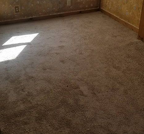 New Carpet and Paint throug