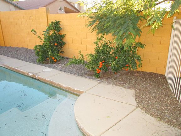 Backyard and Pool