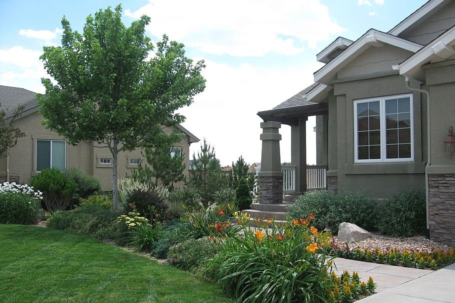 Splash of Summer Colors