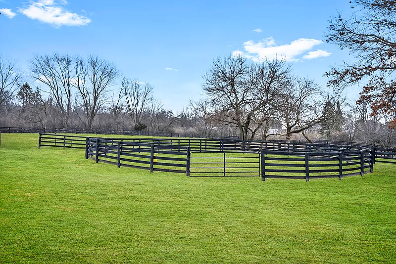 Thumbnail 19