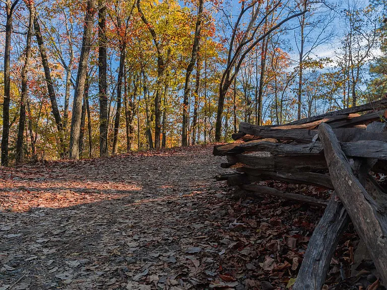 Clear your head and get moving along scenic forest trails nearby