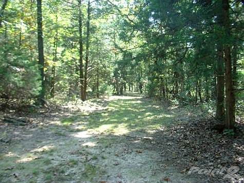 Figure "8" walking trail on the property!