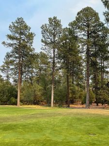 2516 E Pine Island Ln, Payson, AZ, 85541