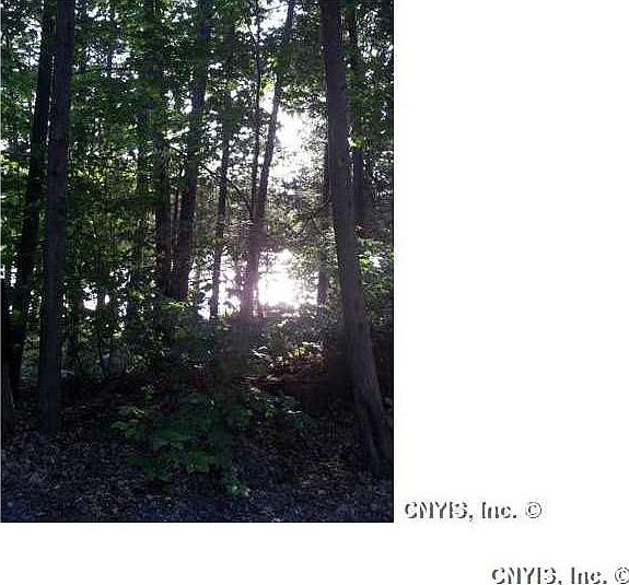 2nd image of 7393 Bullrock Point Rd