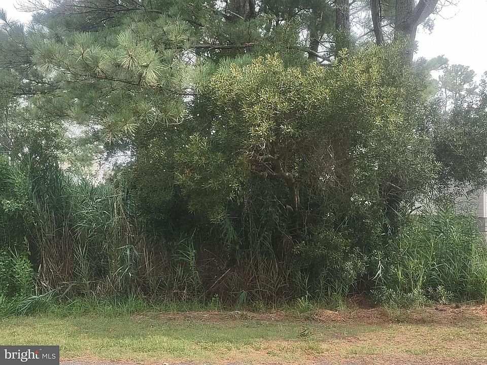 2nd image of Salisbury Rd
