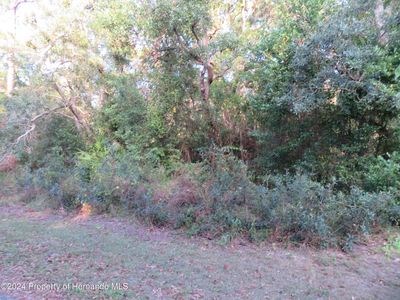 0 Monona Ave, Spring Hill, FL, 34606