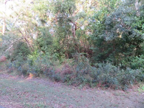 0 Monona Ave, Spring Hill, FL 34606